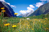 milford track